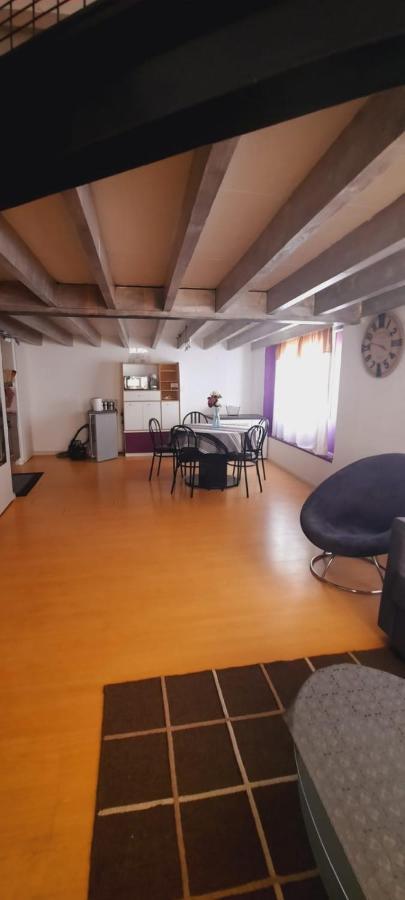 Loft Saint Pierre Apartment Bordeaux Ngoại thất bức ảnh